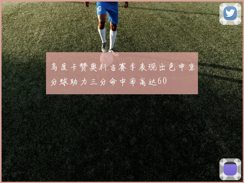 乌度卡赞奥科吉赛季表现出色申京分球助力三分命中率高达60