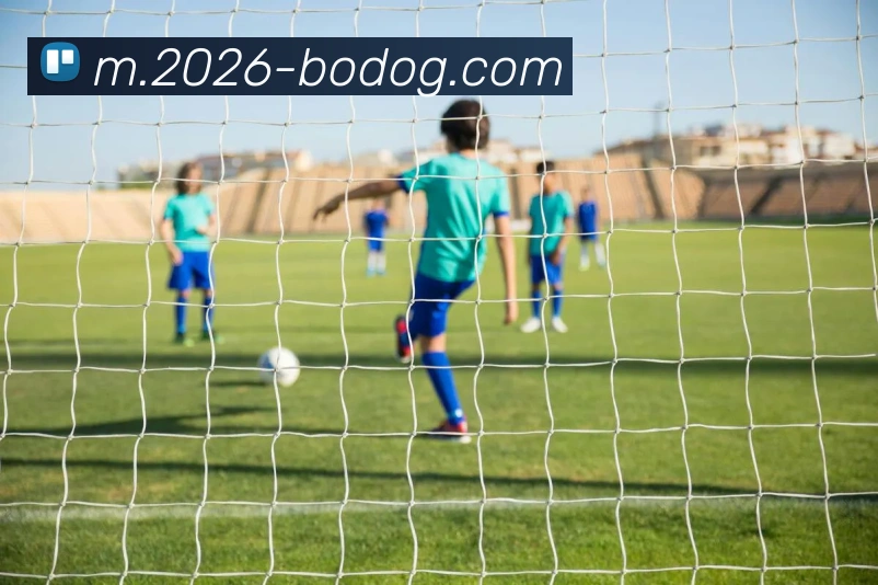 博狗娱乐APP 封面图