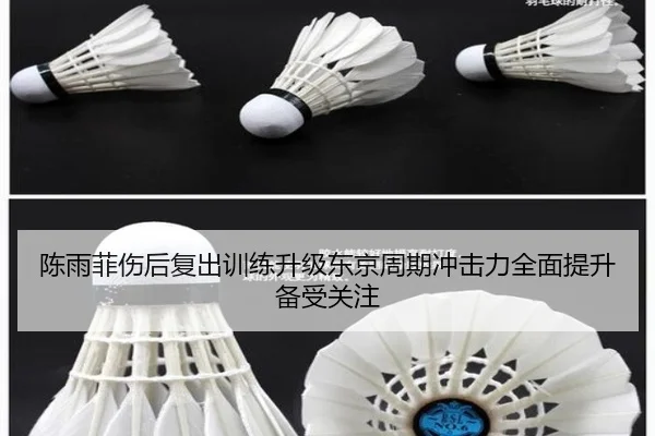 陈雨菲伤后复出训练升级东京周期冲击力全面提升备受关注 | bogou